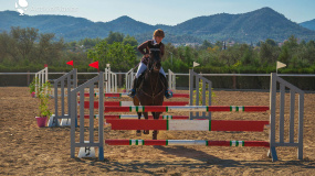Paralympic Equestrian Training &nbsp;