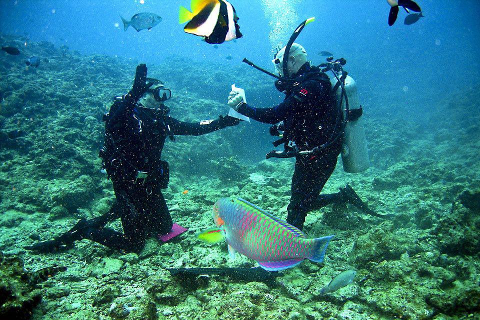 Organization of outdoor activities, excursions and extreme tourism