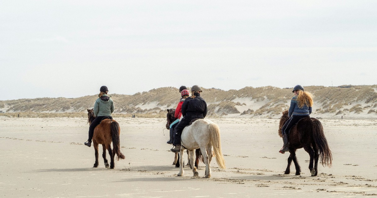 Horse Riding