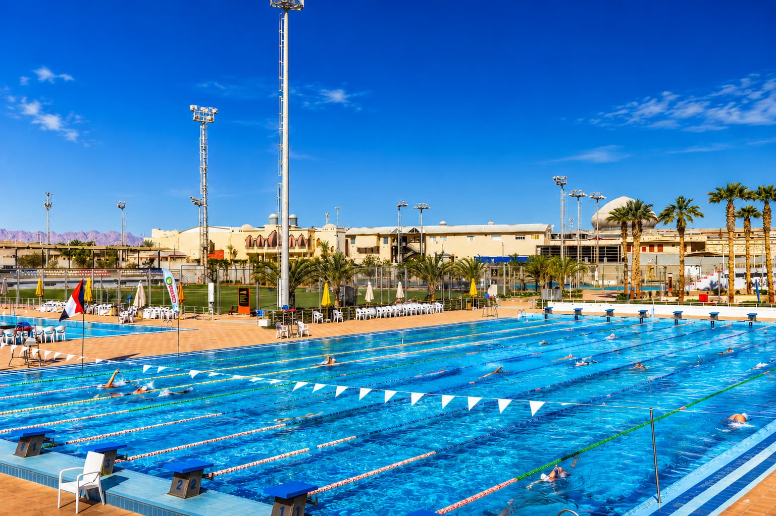 Competitive Swimming Training Camp in Hurghada, Egypt