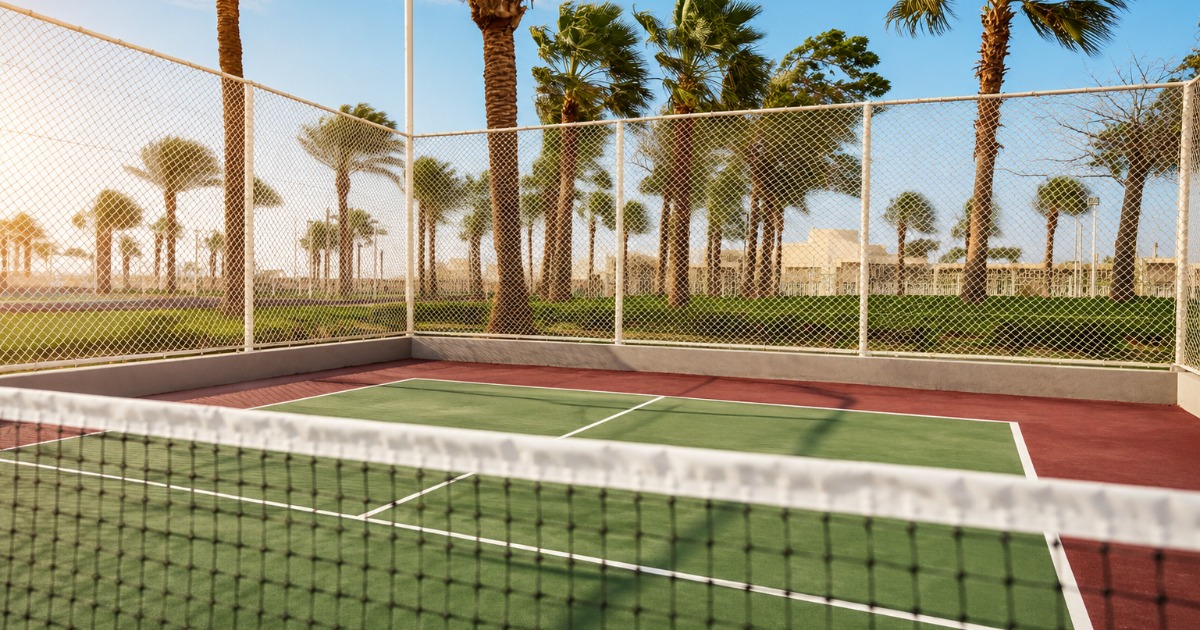 Close-up of pickleball court surface, net and surrounding palm trees, Hurghada