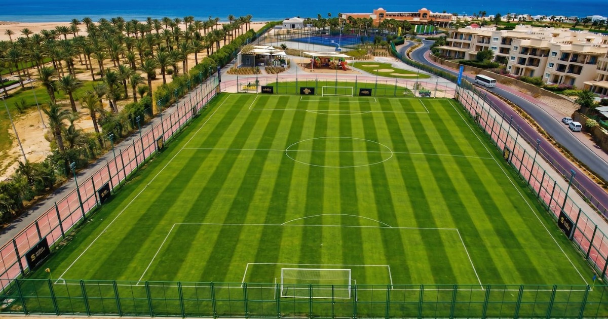 Aerial bird's-eye view of a full-size football pitch with crisp white line markings and alternating turf stripes, flanked by a running track, palm trees, and the Red Sea coastline