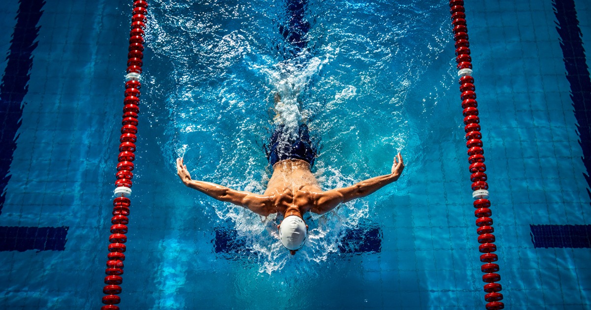 Swimmer in Olympic pool at Soma Bay — butterfly stroke overhead view