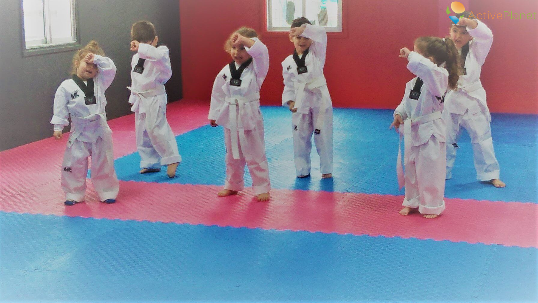 Sport venue DIOLA OLYMPIC TAEKWONDO for the team training camps